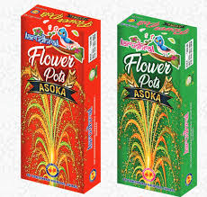 Flower Pots Asoka